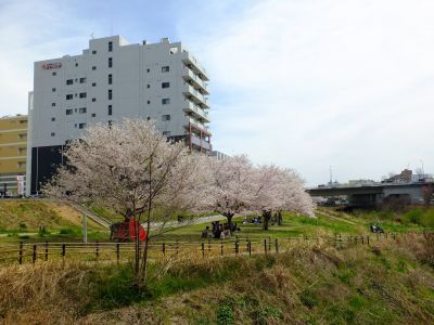 早渕川親水広場
