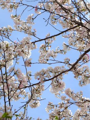 早渕川親水広場
