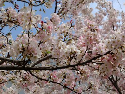 早渕川親水広場
