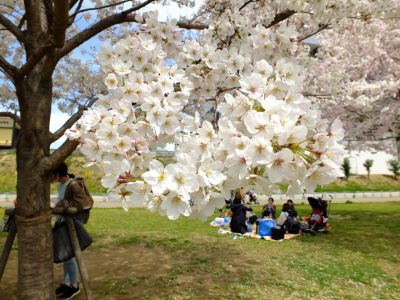 早渕川親水広場
