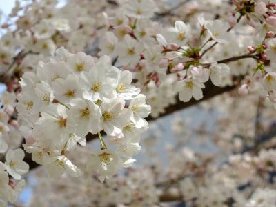 早渕川親水広場
