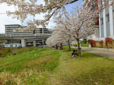 早渕川親水広場
