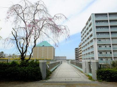 大塚・歳勝土遺跡公園
