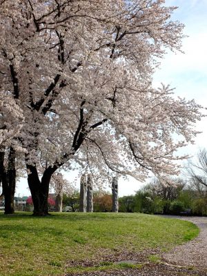 八幡山公園
