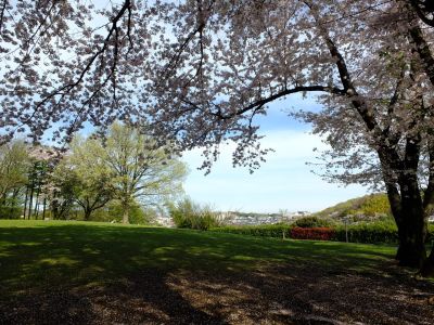 八幡山公園
