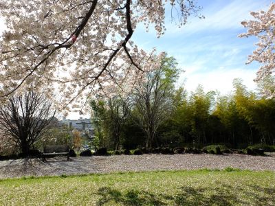 八幡山公園
