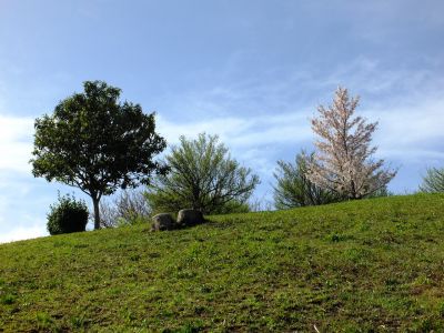 八幡山公園

