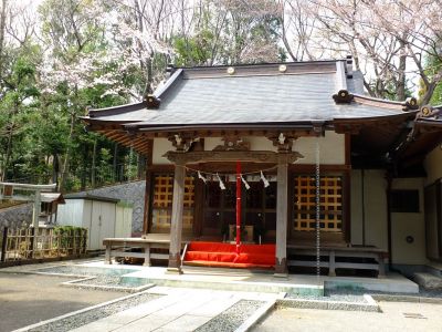 杉山神社（染井吉野）

