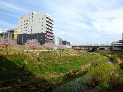 早渕川親水公園（神代曙）
