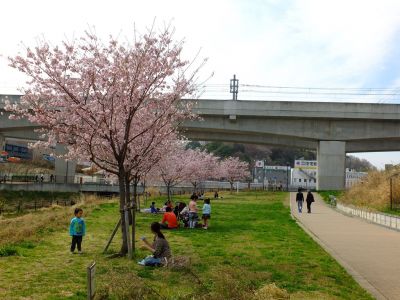 早渕川親水公園（神代曙）
