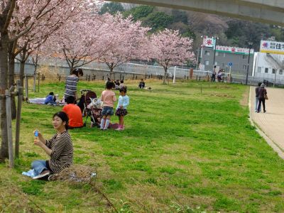 早渕川親水公園（神代曙）
