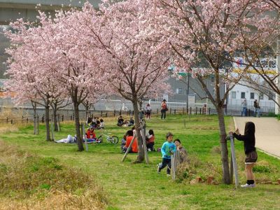 早渕川親水公園（神代曙）
