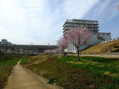 早渕川親水公園（神代曙）
