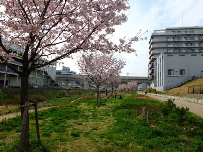 早渕川親水公園（神代曙）
