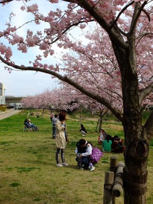 早渕川親水公園（神代曙）
