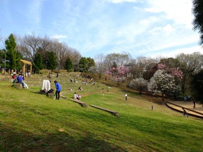 都筑中央公園
