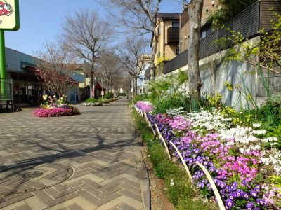 花のある商店街　荏田近隣センター（さくらそう）
