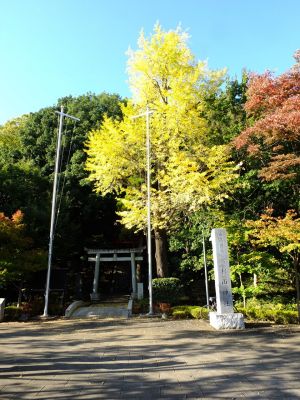 杉山神社（茅ヶ崎）
