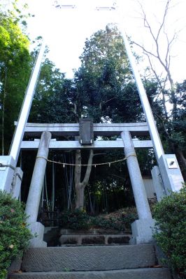 杉山神社
