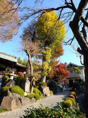 浄土真宗東善寺
