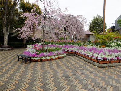 花のある商店街「えだきん」
