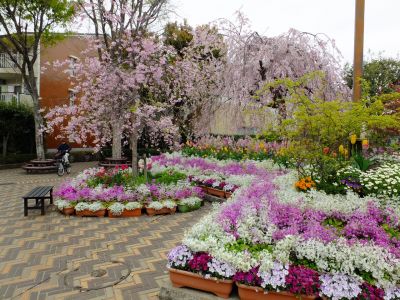 花のある商店街「えだきん」
