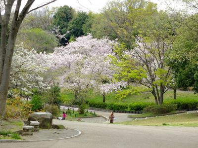 鴨池公園
