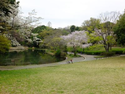鴨池公園
