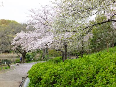 鴨池公園
