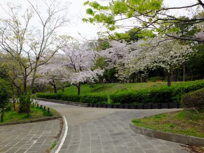 鴨池公園
