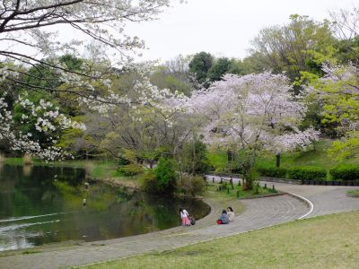 鴨池公園
