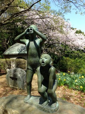 鴨池公園のさくら
