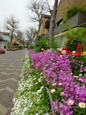 花のある街荏田近隣センター

