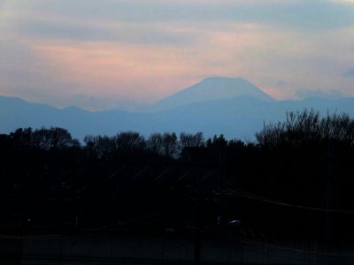 川和市民の森（展望台）
