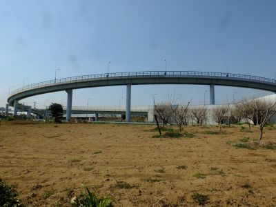 川和町
