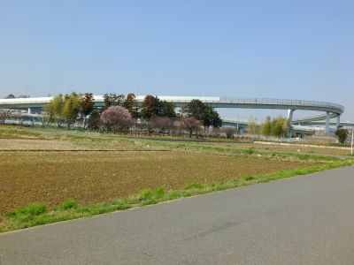 川和町
