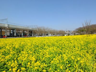 川和駅前
