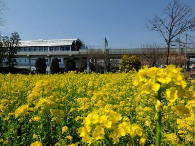 川和駅前
