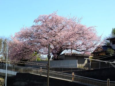 田園都市線江田駅前
