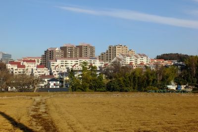 杉山神社（佐江戸）裏
