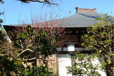 長王寺（真言宗）
