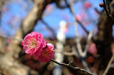長王寺（真言宗）

