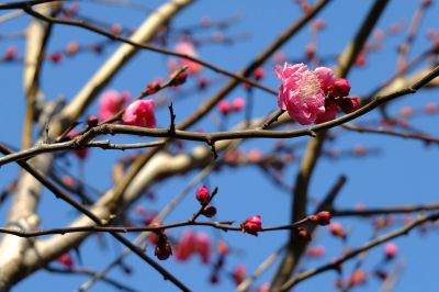 長王寺（真言宗）
