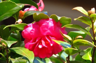 長王寺（真言宗）
