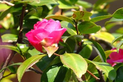 長王寺（真言宗）
