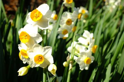 長王寺（真言宗）
