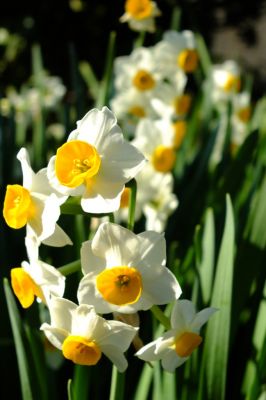 長王寺（真言宗）
