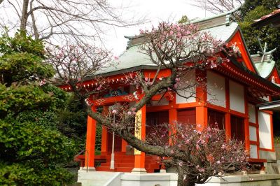 淡島神社（折本）
