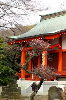 淡島神社（折本）
