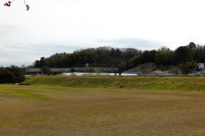 鶴見川サイクリングロード（小机城趾方向）（川向）
